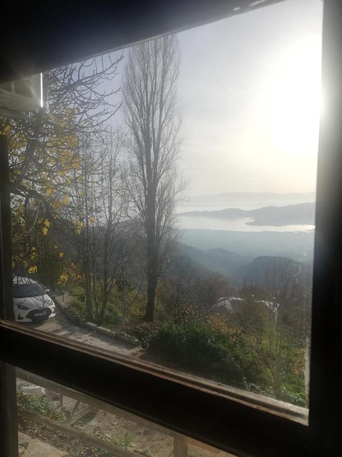 Endless View Country House Makrinítsa Extérieur photo
